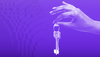 Como Funcionam os Addresses e as Keys?